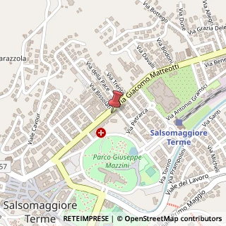 Mappa Viale Giacomo Matteotti, 24/F-G, 43039 Salsomaggiore Terme, Parma (Emilia Romagna)
