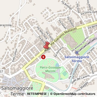 Mappa Viale Giacomo Matteotti, 20B, 43039 Salsomaggiore Terme, Parma (Emilia Romagna)