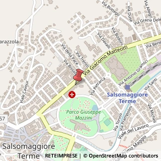 Mappa Viale Giacomo Matteotti, 20, 43039 Salsomaggiore Terme, Parma (Emilia Romagna)