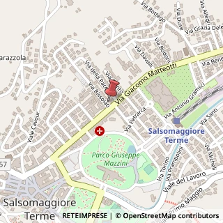 Mappa Viale Giacomo Matteotti, 33, 43039 Salsomaggiore Terme, Parma (Emilia Romagna)