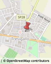 Via Giuseppe Garibaldi, 2,44039Tresigallo