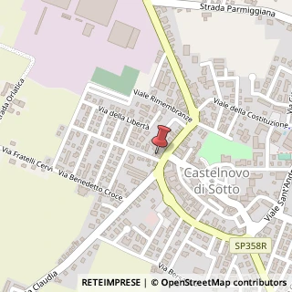 Mappa Via XXV Aprile, 17, 42024 Castelnovo di Sotto, Reggio nell'Emilia (Emilia Romagna)