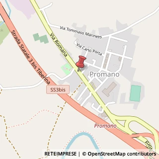 Mappa Via Romana N° 50 Localita' Promano, 06012 Montone, Perugia (Umbria)