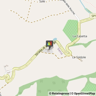 Agriturismi Siena,53100Siena