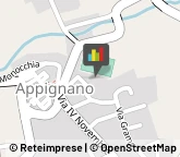 Locali, Birrerie e Pub,62010Macerata