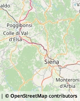 Autofficine e Centri Assistenza Castellina in Chianti,53011Siena