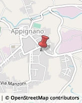 Via Verga, 5,62010Appignano