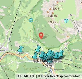 Mappa Via Daunei, 39048 Selva di Val Gardena BZ, Italia (1.1015)