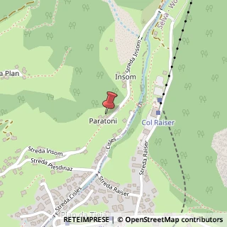 Mappa Via Andria, 156, 39047 Santa Cristina Valgardena, Bolzano (Trentino-Alto Adige)