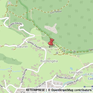 Mappa Via Daunei, 60, 39048 Selva di Val Gardena, Bolzano (Trentino-Alto Adige)