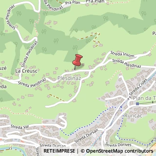 Mappa Strada Plesdinaz, 56, 39047 Santa Cristina Valgardena, Bolzano (Trentino-Alto Adige)