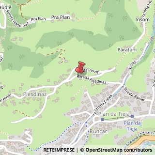 Mappa Strada Plesdinaz, 18, 39047 Santa Cristina Valgardena, Bolzano (Trentino-Alto Adige)