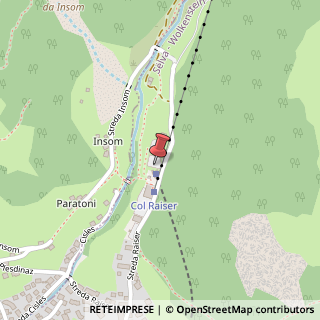 Mappa Strada Raiser, 61, 39048 Santa Cristina Valgardena, Bolzano (Trentino-Alto Adige)