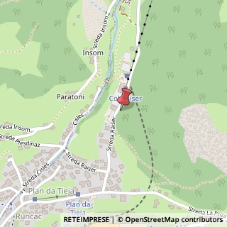 Mappa Strada Raiser, 65, 39048 Santa Cristina Valgardena, Bolzano (Trentino-Alto Adige)