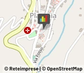 Articoli Funerari Platania,88040Catanzaro