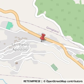 Mappa Via garibaldi 217, 88040 San Pietro Apostolo, Catanzaro (Calabria)