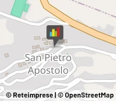 Studi Tecnici ed Industriali San Pietro Apostolo,88040Catanzaro