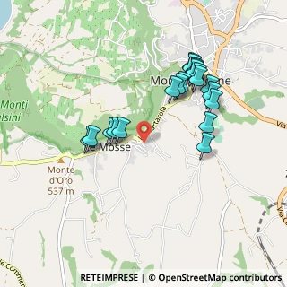 Mappa Via XXV Aprile, 01027 Montefiascone VT, Italia (0.952)