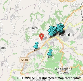Mappa Strada Provinciale per Triparni, 89900 Vibo Valentia VV, Italia (1.606)