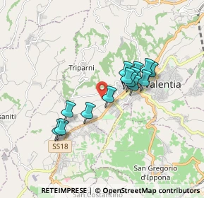 Mappa Strada Provinciale per Triparni, 89900 Vibo Valentia VV, Italia (1.53643)