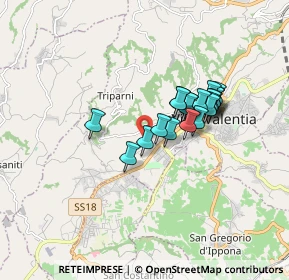 Mappa Strada Provinciale per Triparni, 89900 Vibo Valentia VV, Italia (1.4525)