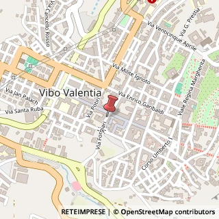 Mappa Via Forgiari, 3, 89900 Vibo Valentia, Vibo Valentia (Calabria)