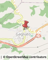 Via Regina Margherita, 19,88060Gagliato