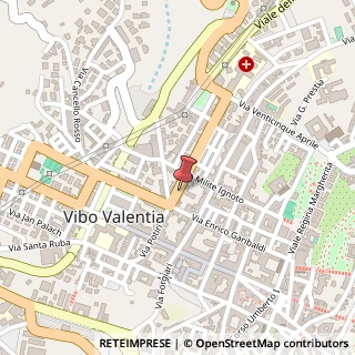 Mappa Viale Giacomo Matteotti, 18, 89900 Vibo Valentia, Vibo Valentia (Calabria)