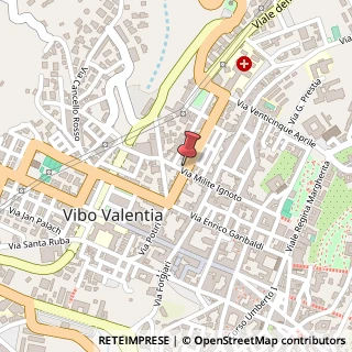 Mappa Viale Giacomo Matteotti,  9, 89900 Vibo Valentia, Vibo Valentia (Calabria)