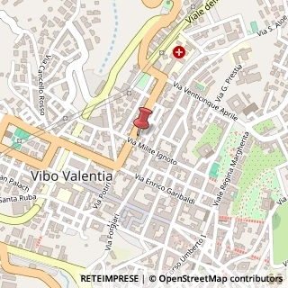Mappa Viale Giacomo Matteotti, 58, 89900 Vibo Valentia, Vibo Valentia (Calabria)