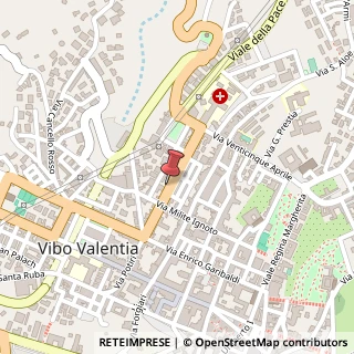 Mappa Viale Giacomo Matteotti, 89900 Vibo Valentia VV, Italia, 89900 Vibo Valentia, Vibo Valentia (Calabria)