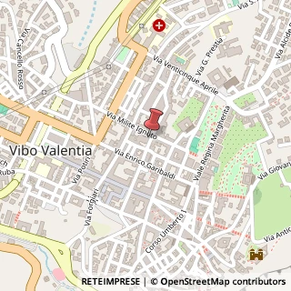 Mappa Via Gregorio D'Alessandria, n4, 89900 Vibo Valentia, Vibo Valentia (Calabria)