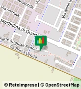 Via P.A. Renoir, 50,41012Carpi