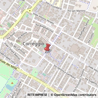 Mappa Viale V. Cottafavi, 9A, 42015 Correggio, Reggio nell'Emilia (Emilia Romagna)
