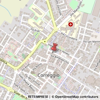 Mappa Via Conciapelli, 8B, 42015 Correggio, Reggio nell'Emilia (Emilia Romagna)