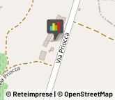 Aziende Agricole,12050Cuneo