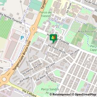 Via O. Vecchi, 32, 41012 Carpi MO, ,41012Carpi