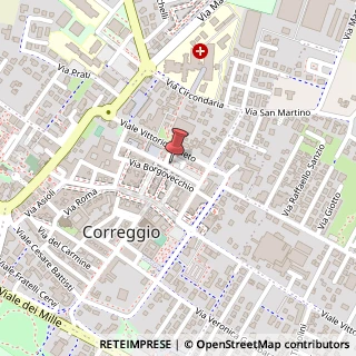 Mappa Via Conciapelli, 34, 42015 Correggio, Reggio nell'Emilia (Emilia Romagna)