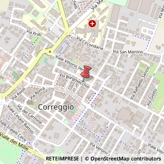 Mappa Via Borgovecchio, 39, 42015 Correggio, Reggio nell'Emilia (Emilia Romagna)