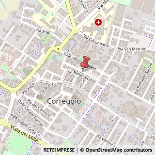 Mappa Via Conciapelli, 26, 42015 Correggio, Reggio nell'Emilia (Emilia Romagna)