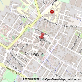 Mappa Via Santa Maria, 8, 42015 Correggio, Reggio nell'Emilia (Emilia Romagna)