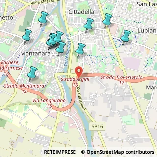 Mappa Strada Argini Parma, 43123 Parma PR, Italia (1.24538)
