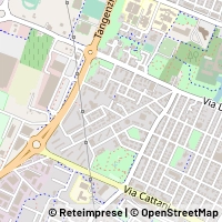 Map Carpi
