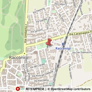 Mappa Piazza IV Novembre, 20, 12035 Racconigi, Cuneo (Piemonte)