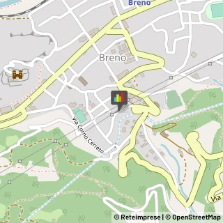 Naturopatia Breno,25043Brescia