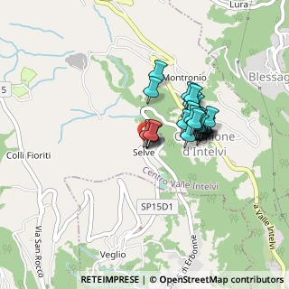 Mappa Via Campo Sportivo, 22023 Selve CO, Italia (0.31481)