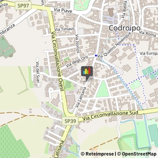 Osteopatia Codroipo,33033Udine