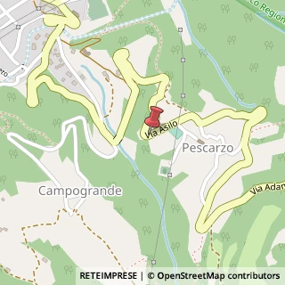 Mappa Strada Cumunale Breno, 1, 25043 Breno, Brescia (Lombardia)