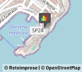 Infermieri ed Assistenza Domiciliare,57037Livorno