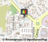 Alimentari, Vini, Bevande e Dolciari - Agenti e Rappresentanti,57037Livorno